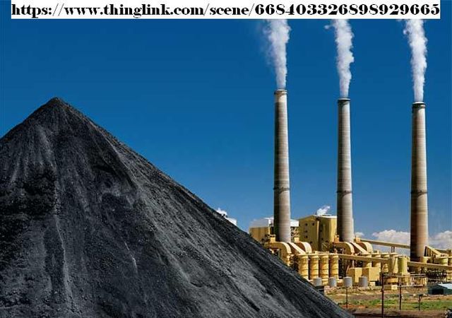 Actividad microbiológica