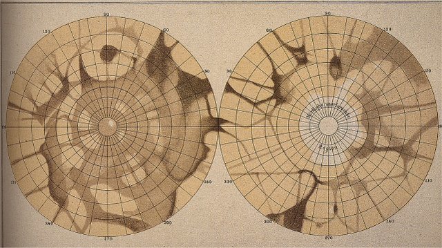 Mars in the 19th Century