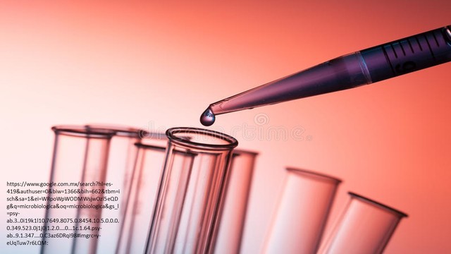Actividad microbiológica