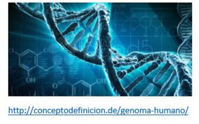 Genoma humano