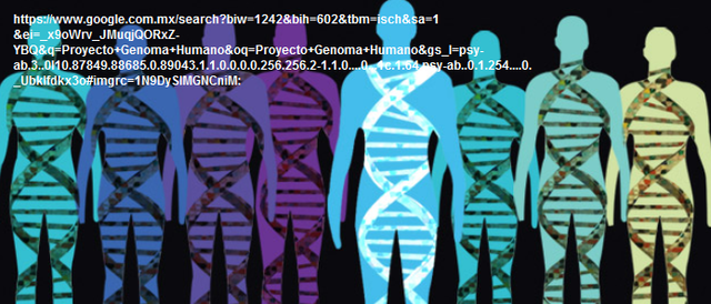 Proyecto Genoma Humano terminado