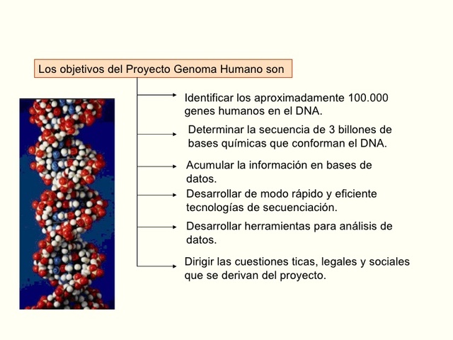 Proyecto de genoma humano completado
