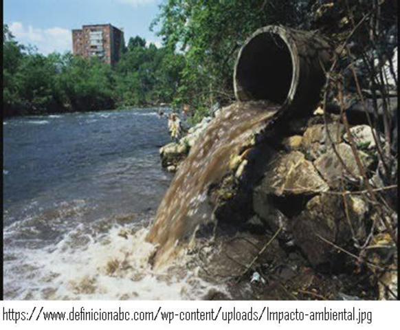 Preocupacion ambiental