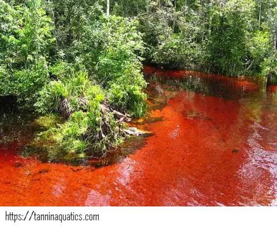 Taninos para el agua de calderas