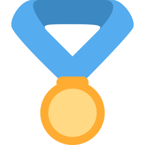 Awarded with The Family of men World Medal