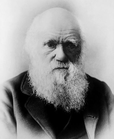 Curiosidades sobre Charles Darwin I