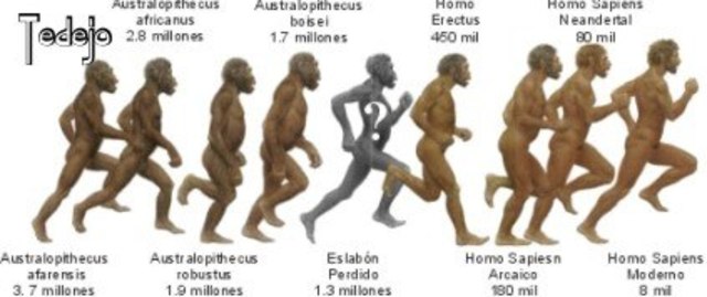 El Eslabón Perdido I