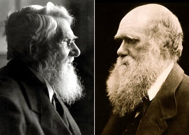 Publicación conjunta con Alfred Russel Wallace