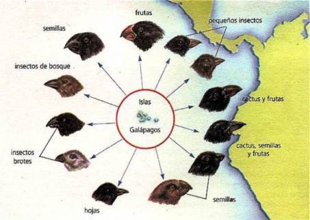 Conocimientos y descubrimientos