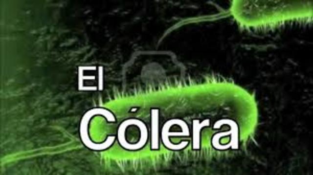 Ramona Vaamonde Fernández