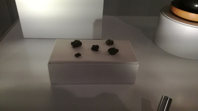 Dues tabes de bronze/Taba de Calcita/Taba d'esteatita/Taba de Bronze