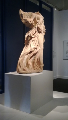 Niké observant el seu reflex.