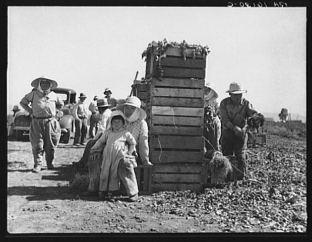 Bracero Program