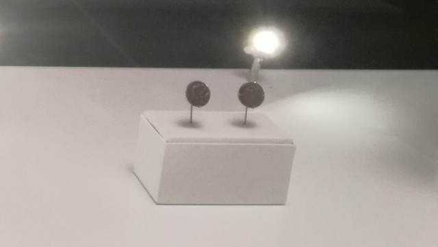 El pugilat i la lluita (2)