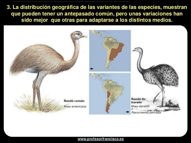 Pensamientos y observaciones durante el viaje en el Beagle