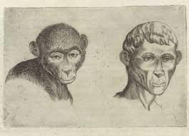 YERKES, BOAKES SIGLO XX