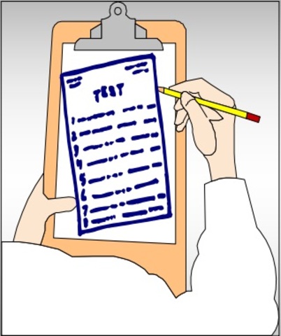 Primer Sondeo De Mercado