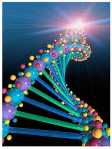 Reprogramación celular