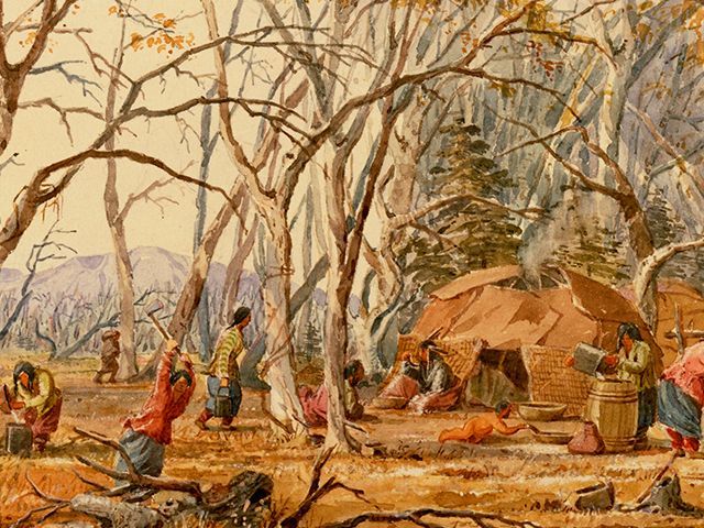 Indian Sugar Camp