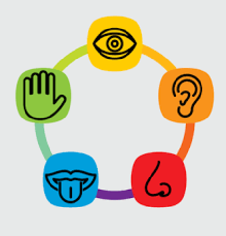 EL PERIODO CLÁSICO DE LA PSICOLOGÍA DIFERENCIAL