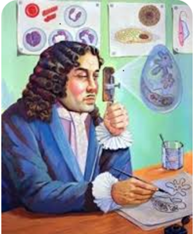 Anton Van Leeuwenhoek