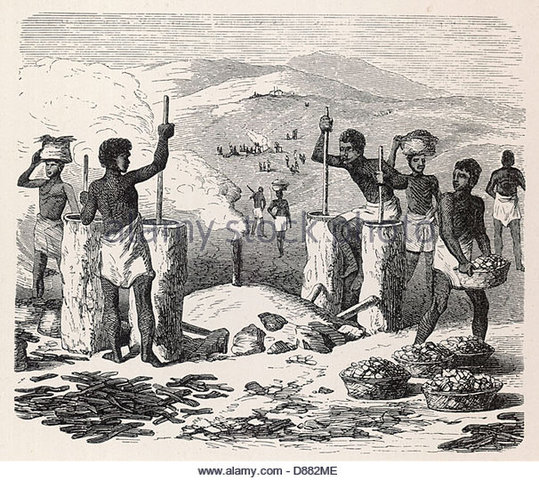 First human settlements in Central West Africa, discovered by evidence of early iron smelting