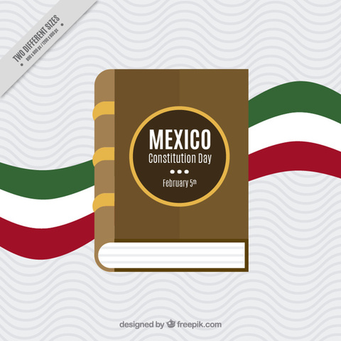 Reforma al artículo 16 constitucional