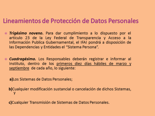 Publicación de los Lineamientos de Protección de Datos Personales.
