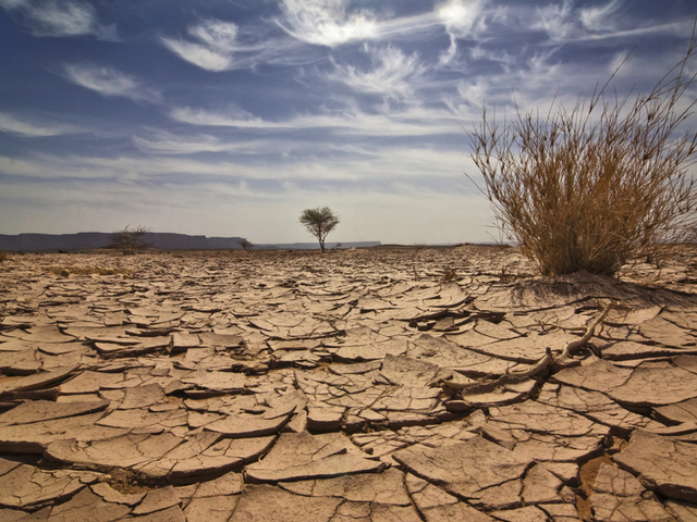 Europe Becomes Ripe for Revolution