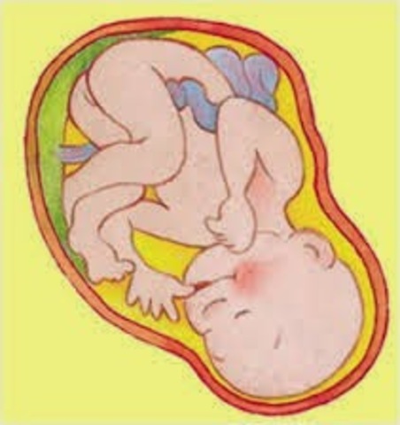 Proceso de aprender a hablar