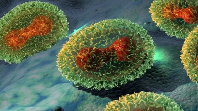 Erradicacion de la Viruela