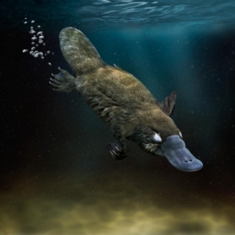 Conocimientos y descubrimientos