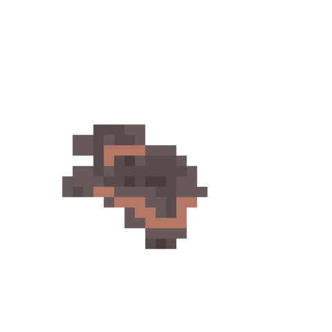 The Formation of Earth