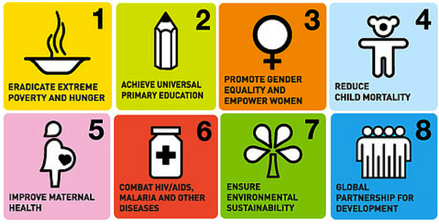 Millennium Development Goals (MDGs)