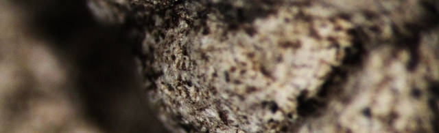 Postní zamyšlení I - Oulíková 19.30 čtvrtek