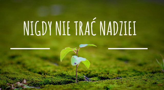 Dzień nowej nadziei