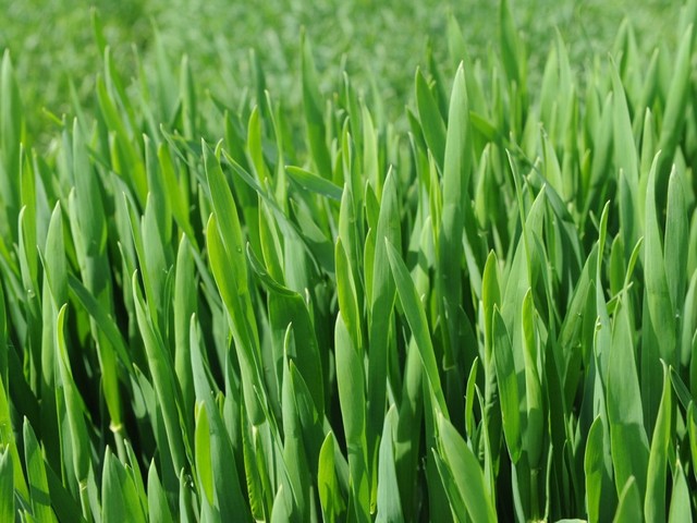 Zelený čtvrtek 18.00