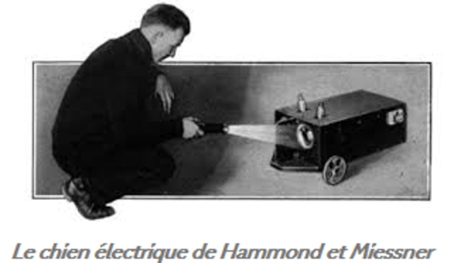 le chien électrique de Hammond