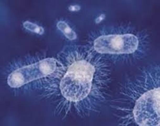 Secuencias completas de genomas de organismos.