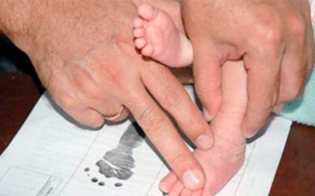 Principio Estudios Demográficos