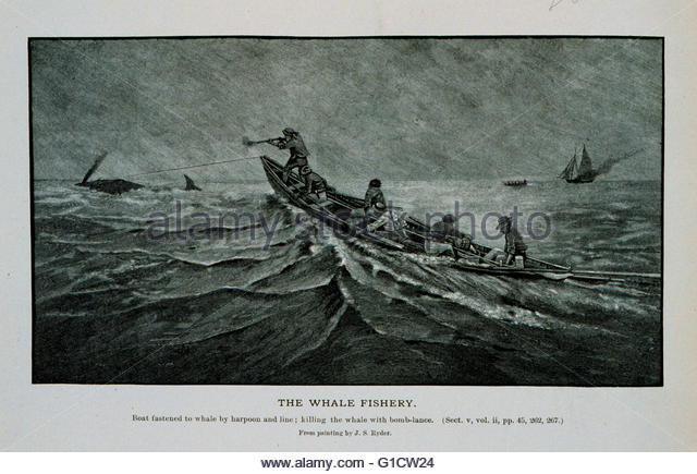 The Monterey Whaling Stations and Beginning of Shore Whaling