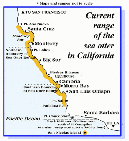 End Of Sea Otter commercial enterprise.Rise of the Sea Urchin