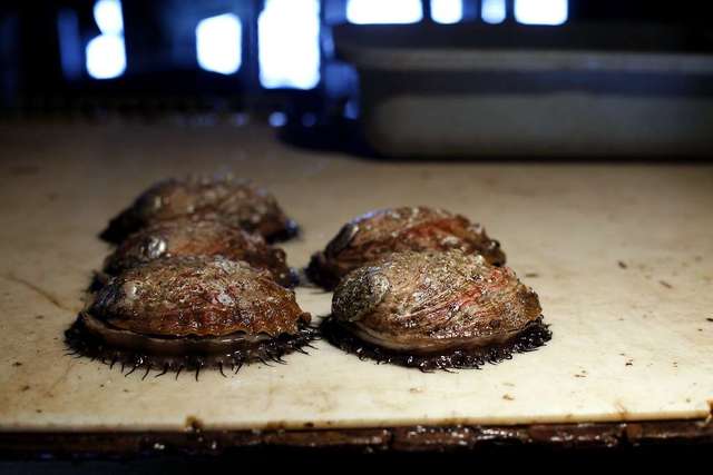 1866 Abalone Population Depleted