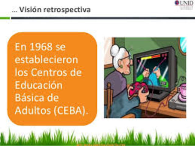 Centros de Educación Básica de Adultos (CEBA).