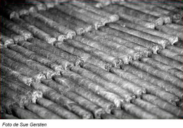 Sociedad de Tabaqueros