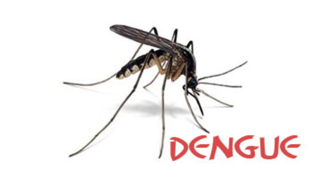 Dengue