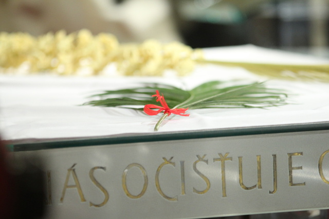 Květná neděle - ?Ingrediente?