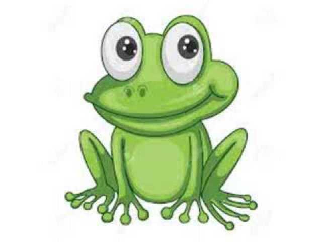 Secondary Consumer - Frog