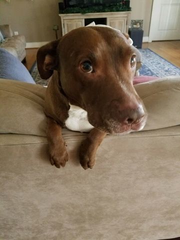 Adopted Nonnie from LMAS