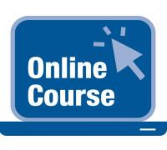 1st Online Course